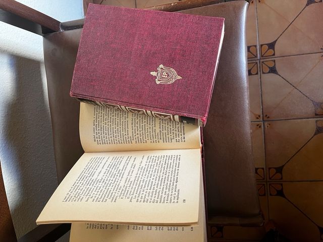 las lobas de machecul