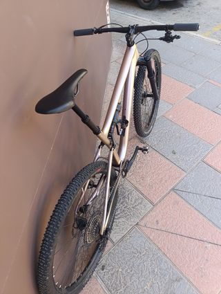 Specialized Epic Evo S-Works Talla L
