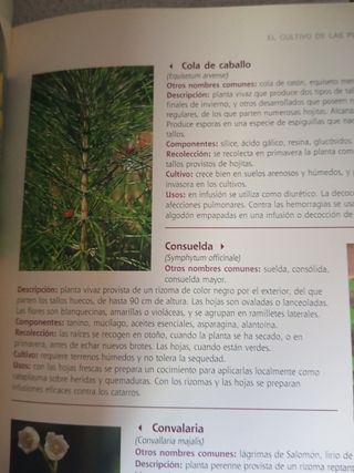 El gran libro de la Jardineria