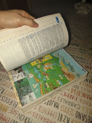 Diccionario Nivel Básico - Primaria (Spanish Ed...