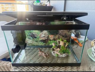 Acuario Negro y Transparente
