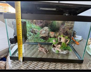 Acuario Negro y Transparente