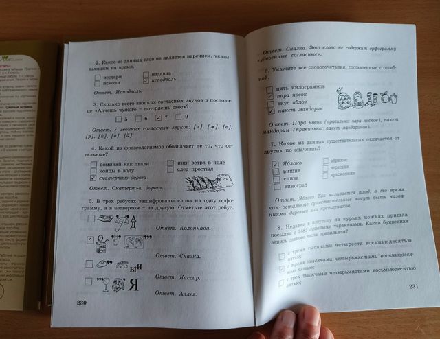 Libro manual en ruso Занимательный русский язык, 5