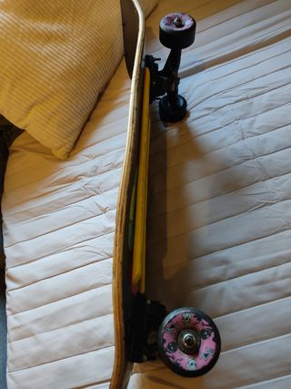 Powell Peralta Ray Barbee Ragdoll skate vintage 