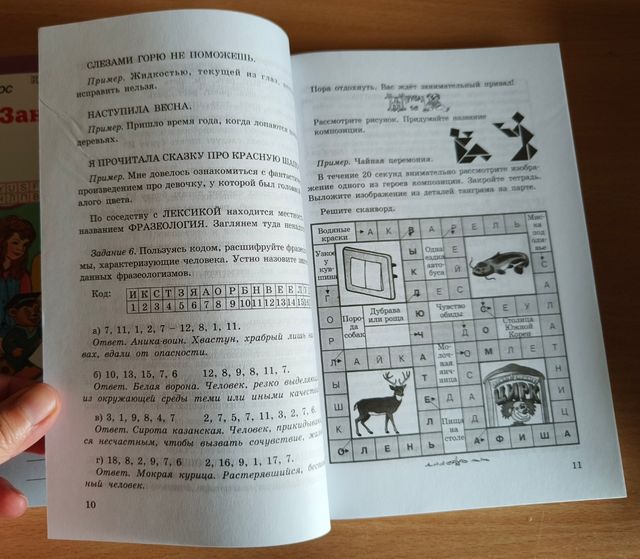 Libro manual en ruso Занимательный русский язык, 6