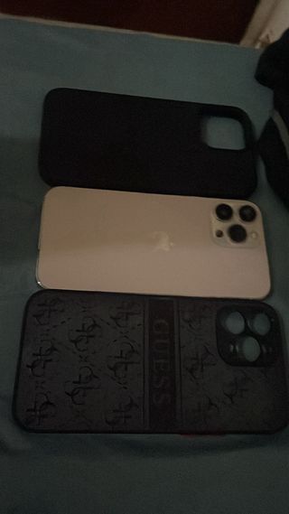 iPhone 13 Pro Max. 
