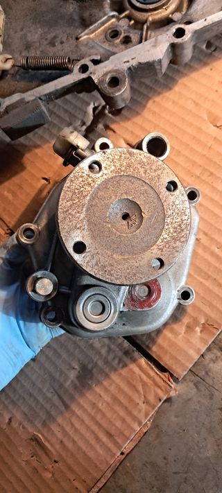 Grupo de engranajes Vespino ALX