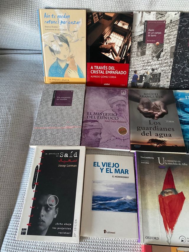 Libros Lectura Escolar (Primaria y Secundaria)