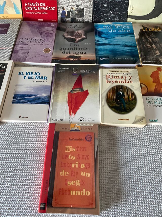 Libros Lectura Escolar (Primaria y Secundaria)