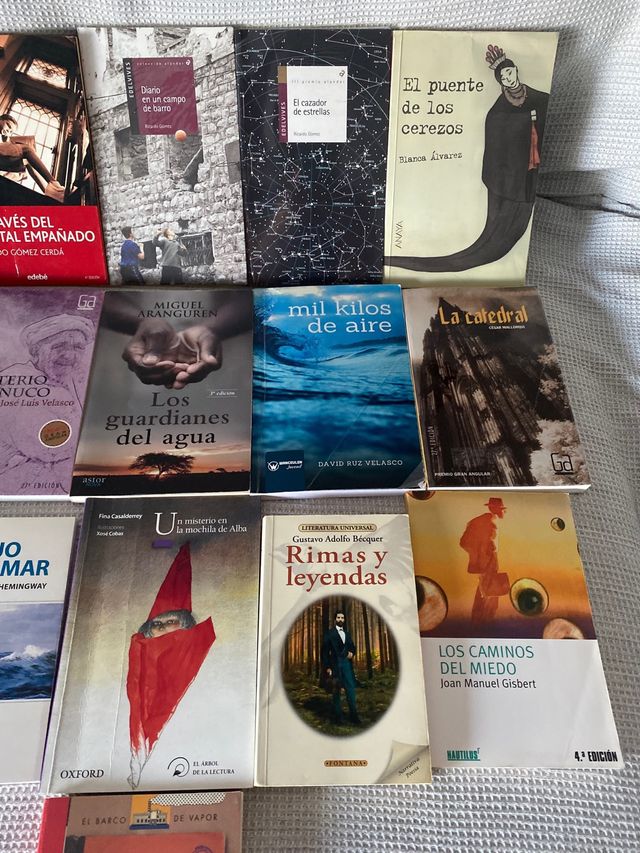 Libros Lectura Escolar (Primaria y Secundaria)