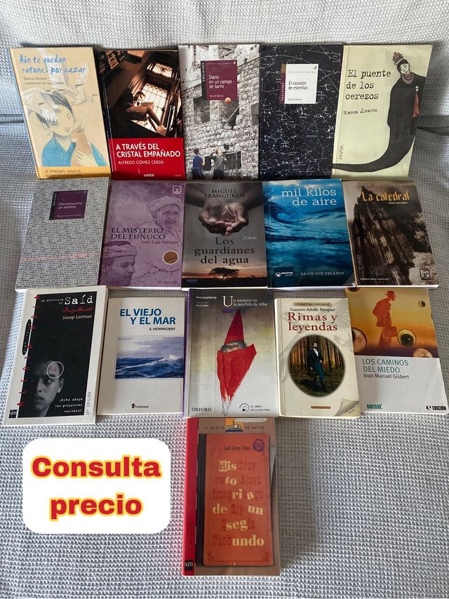 Libros Lectura Escolar (Primaria y Secundaria)