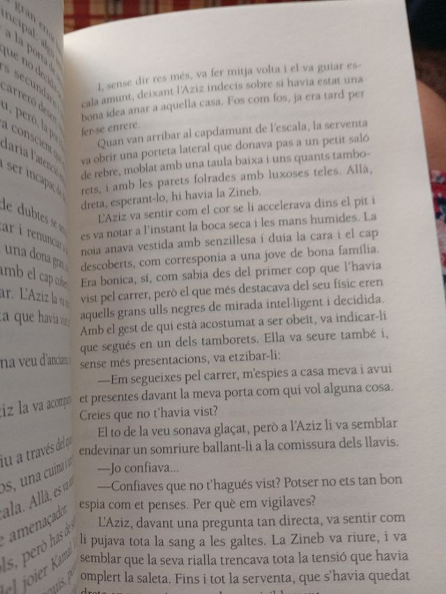 El lladre d'Alexandria