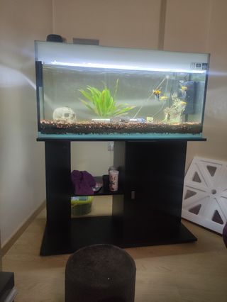 Acuario 160L