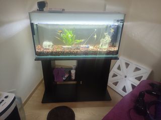 Acuario 160L