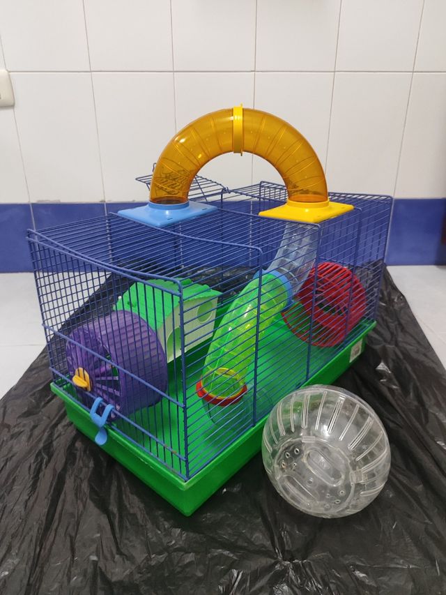 Jaula para hámster con accesorios