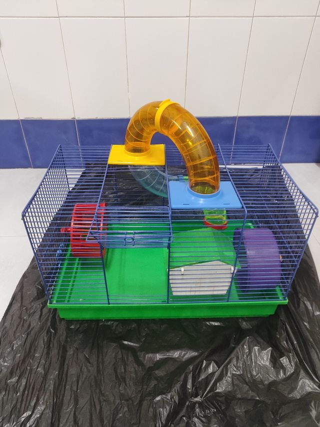 Jaula para hámster con accesorios