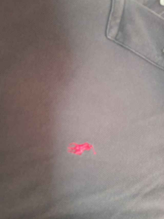 Polo Ralph Lauren Grigio Taglia M