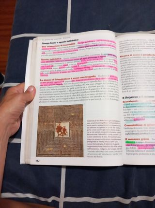 Moenia Mundi. Cultura E Letteratura Latina Perc...