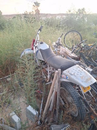 Derbi FDS con matrícula amarilla