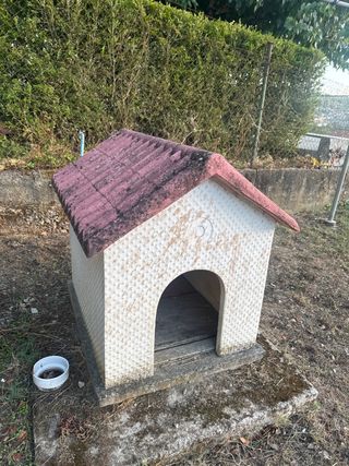 Caseta perro cenento
