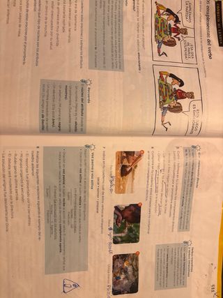 Lengua 6 primaria tercer trimestre 