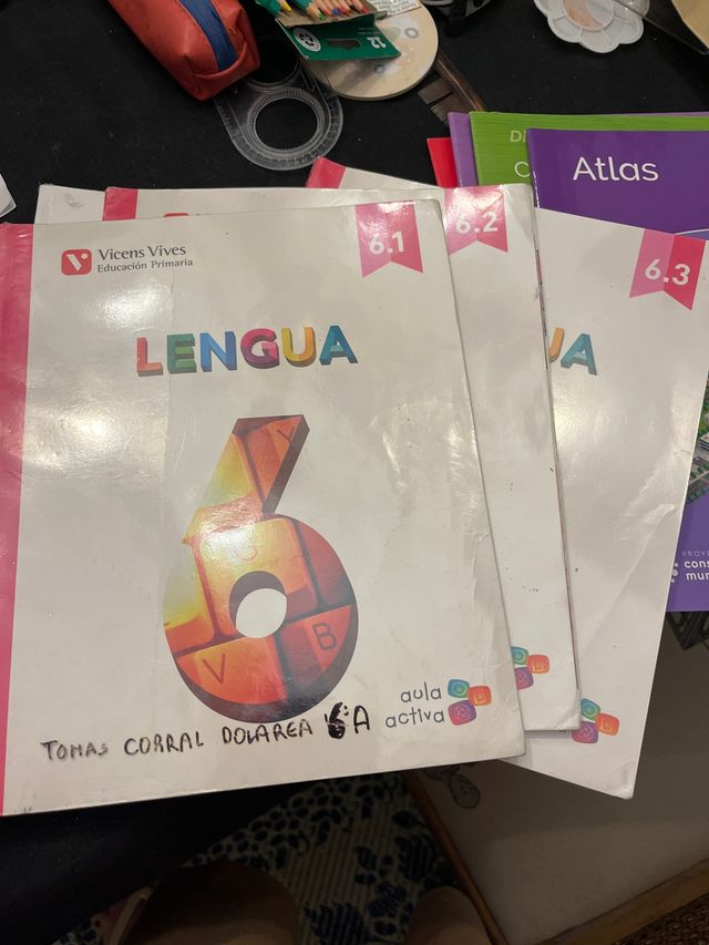 Lengua 6 (6.1-6.2-6.3) Aula Activa