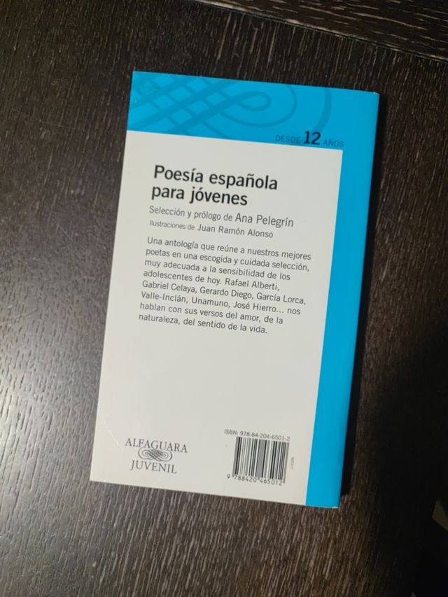 Poesía española para jóvenes (Spanish Edition)