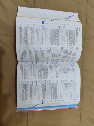 Diccionario de Primaria (Spanish Edition)