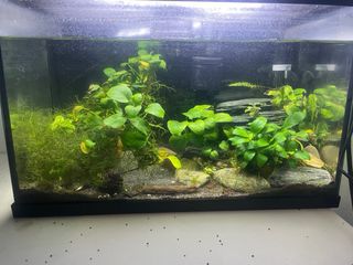 Acuario Marina 20L