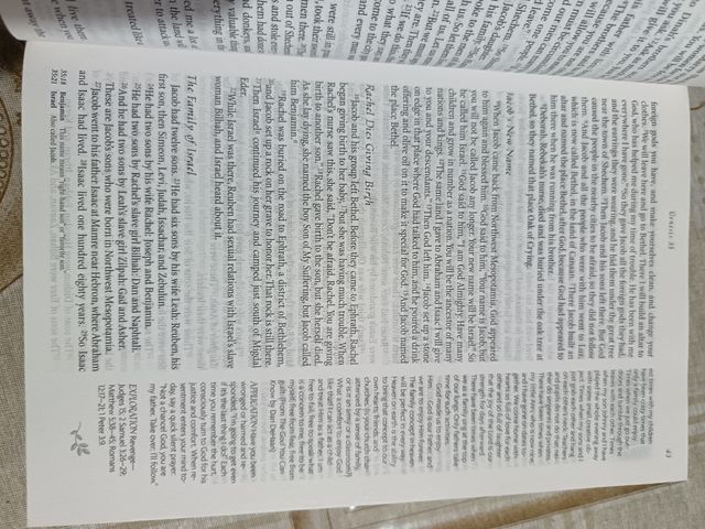 The Devotional Bible: Experiencing the Heart of...