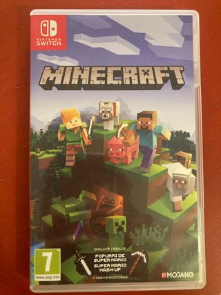 Minecraft Nintendo Switch
