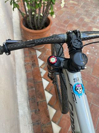 Bicicleta de montaña gris con calavera