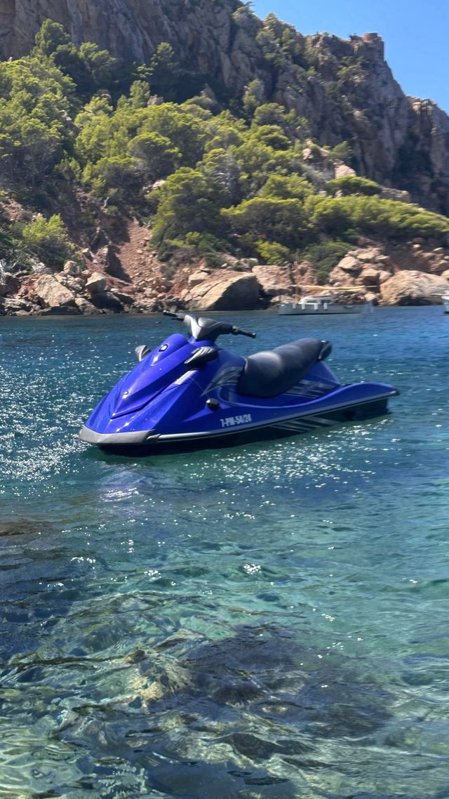 Moto acuática Yamaha VX 1100