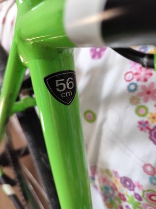 Bicicleta de carretera Allez Specialine.