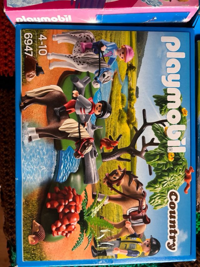 Lote Playmobil Magic, Pirates, Country