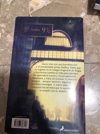 Harry Potter y la piedra filosofal (Harry Potte...