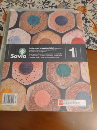 Matemáticas. 1 ESO. Savia