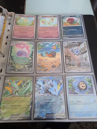 Lote 9 Cartas Pokémon Castellano BLK