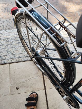 Bicicleta Raleigh Manhattan Holandesa