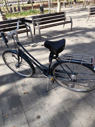 Bicicleta Raleigh Manhattan Holandesa