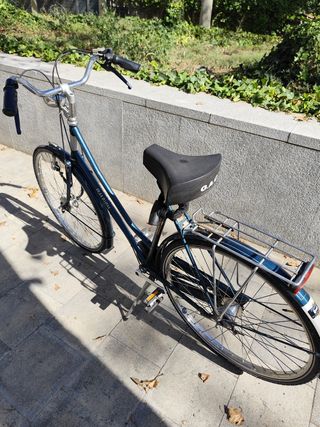 Bicicleta Raleigh Manhattan Holandesa