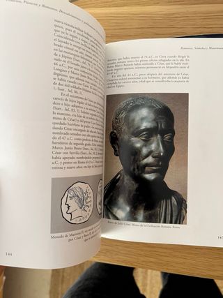 Fenicios, Púnicos Y Romanos Islas Canarias