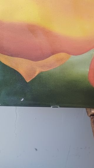 Due quadri IKEA Anna Emilia