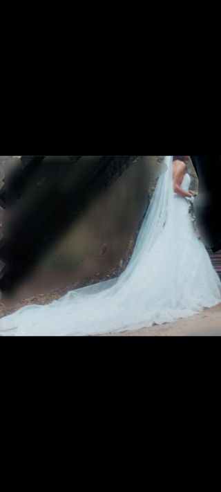 Vestido de Novia Pronovias Palabra de Honor