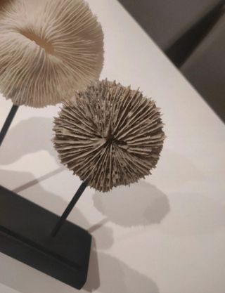 Figure decorative Maisons du Monde