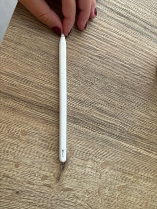Lápiz Apple para iPad
