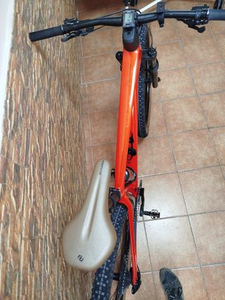 Scott Scale 2024  talla M