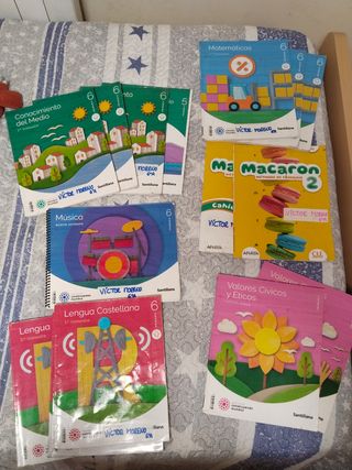 Lote de libros de 6° de primaria