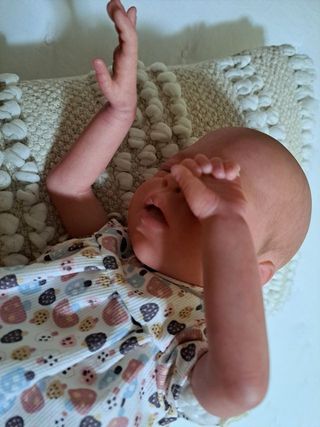 Muñeca Reborn Baturra, por sólo...
