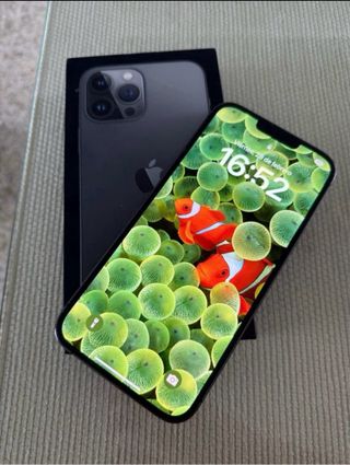 iPhone 13 Pro Max Gris